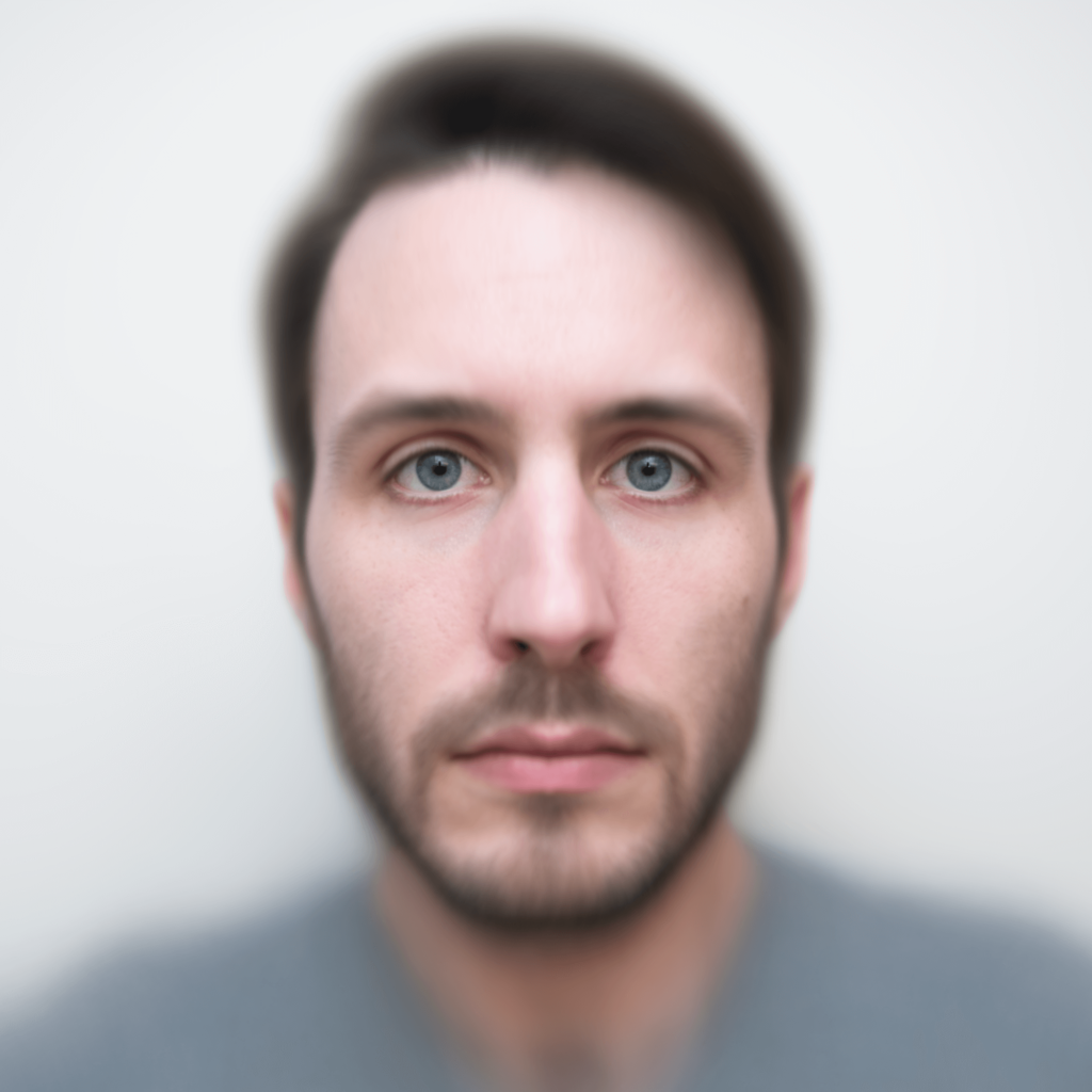 An portrait generated from the average of many individual self-portraits