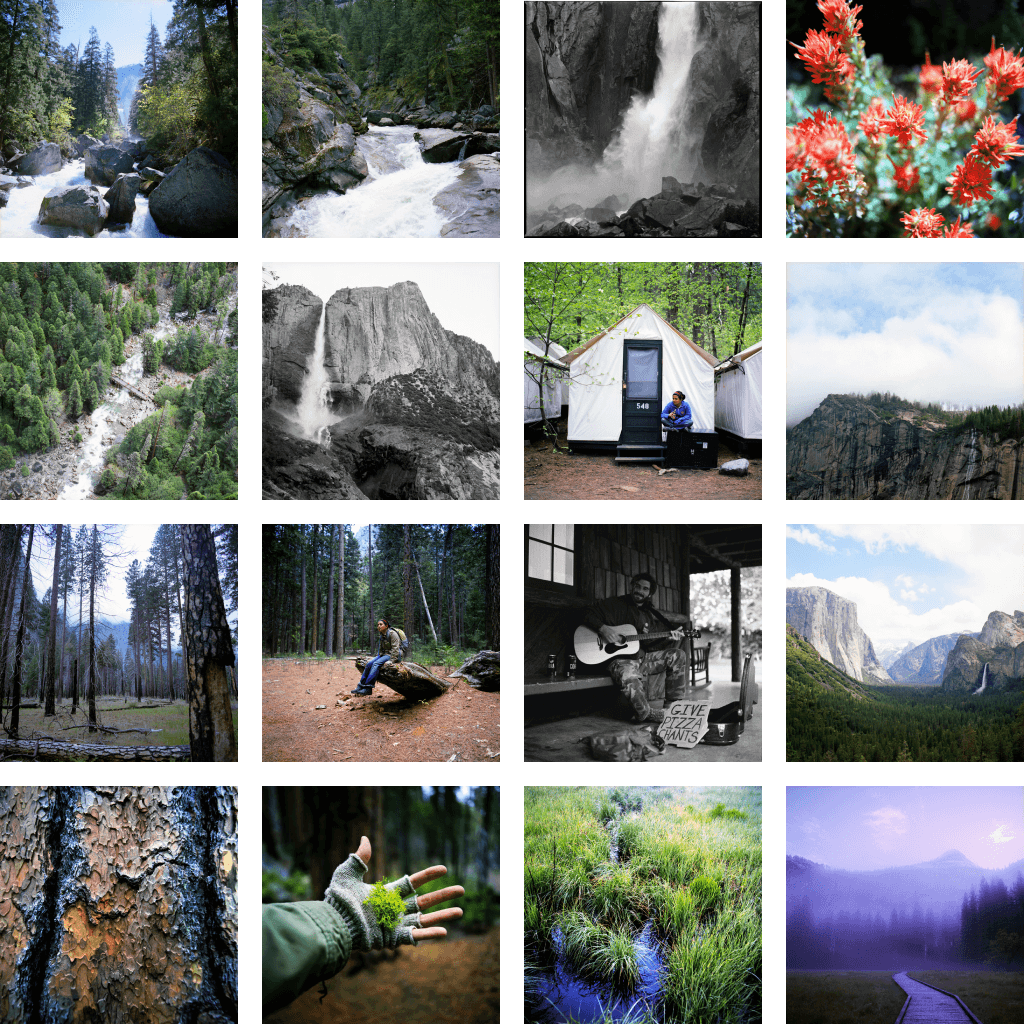 Array of medium format film photos included in the Average Yosemite photo